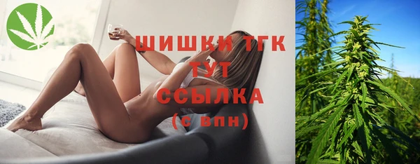 мдпв Лабытнанги