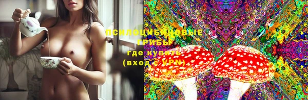 мдпв Лабытнанги