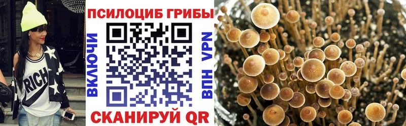 Купить  Купино  Галлюциногенные грибы Cubensis 